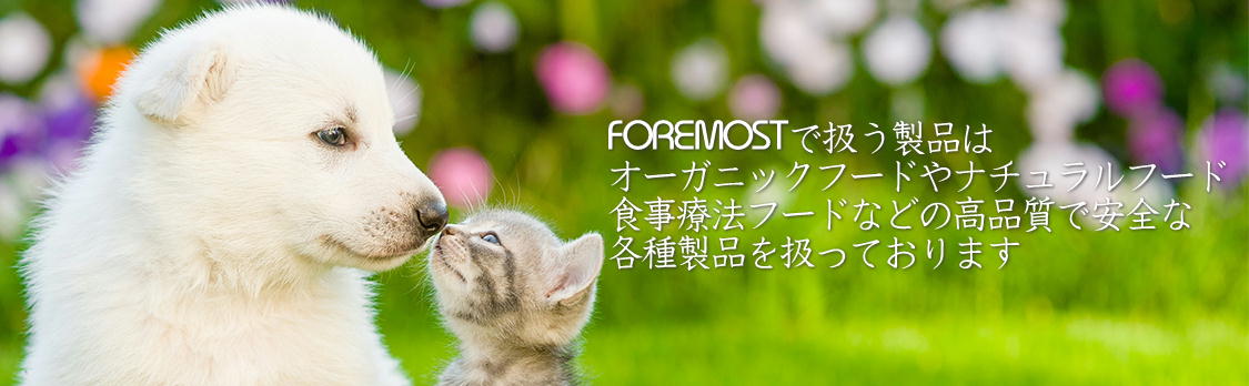 FOREMOST（フォアモスト株式会社）が扱っている商品を紹介しているウェブサイトのトップ画像