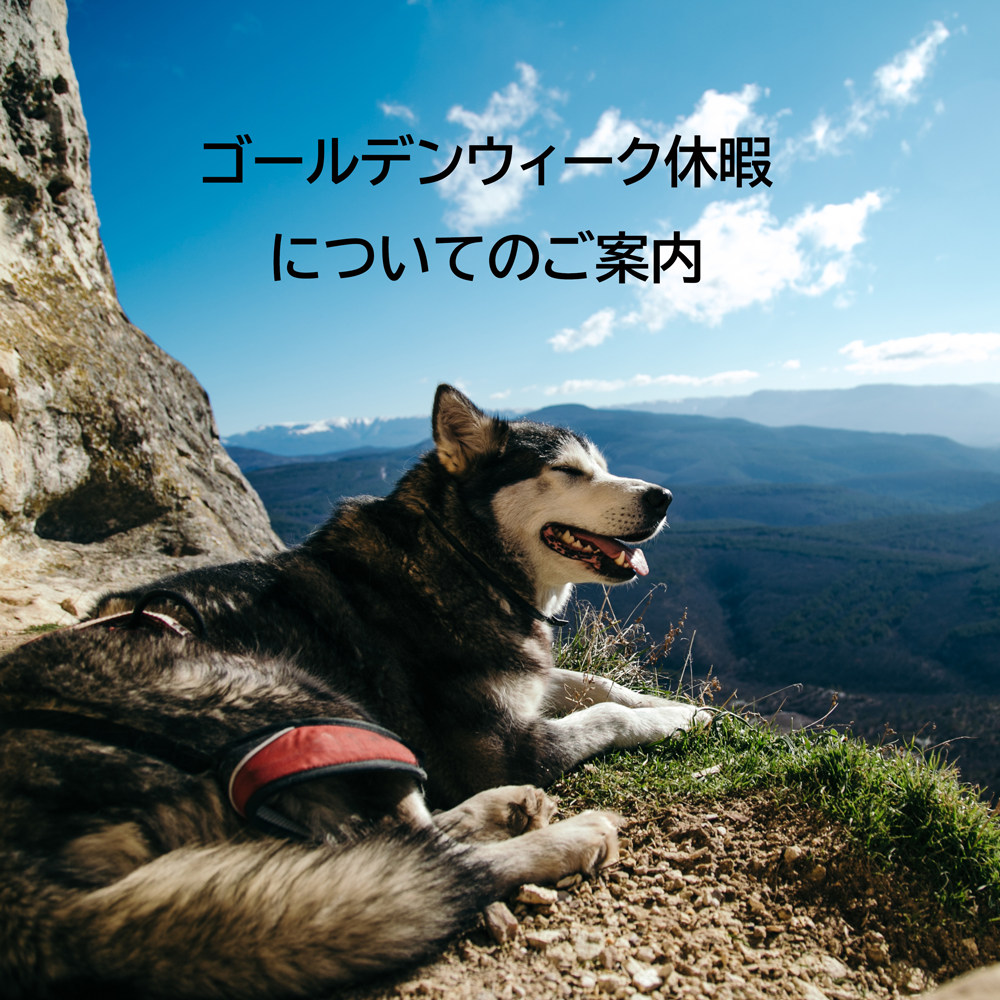 本年のゴールデンウィーク休暇についてお知らせ