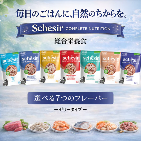 シシア　リニューアル