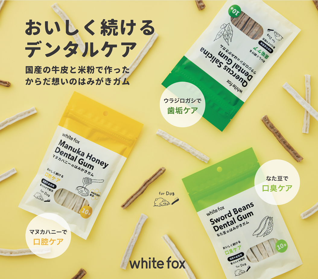 WHITEFOXデンタルガム